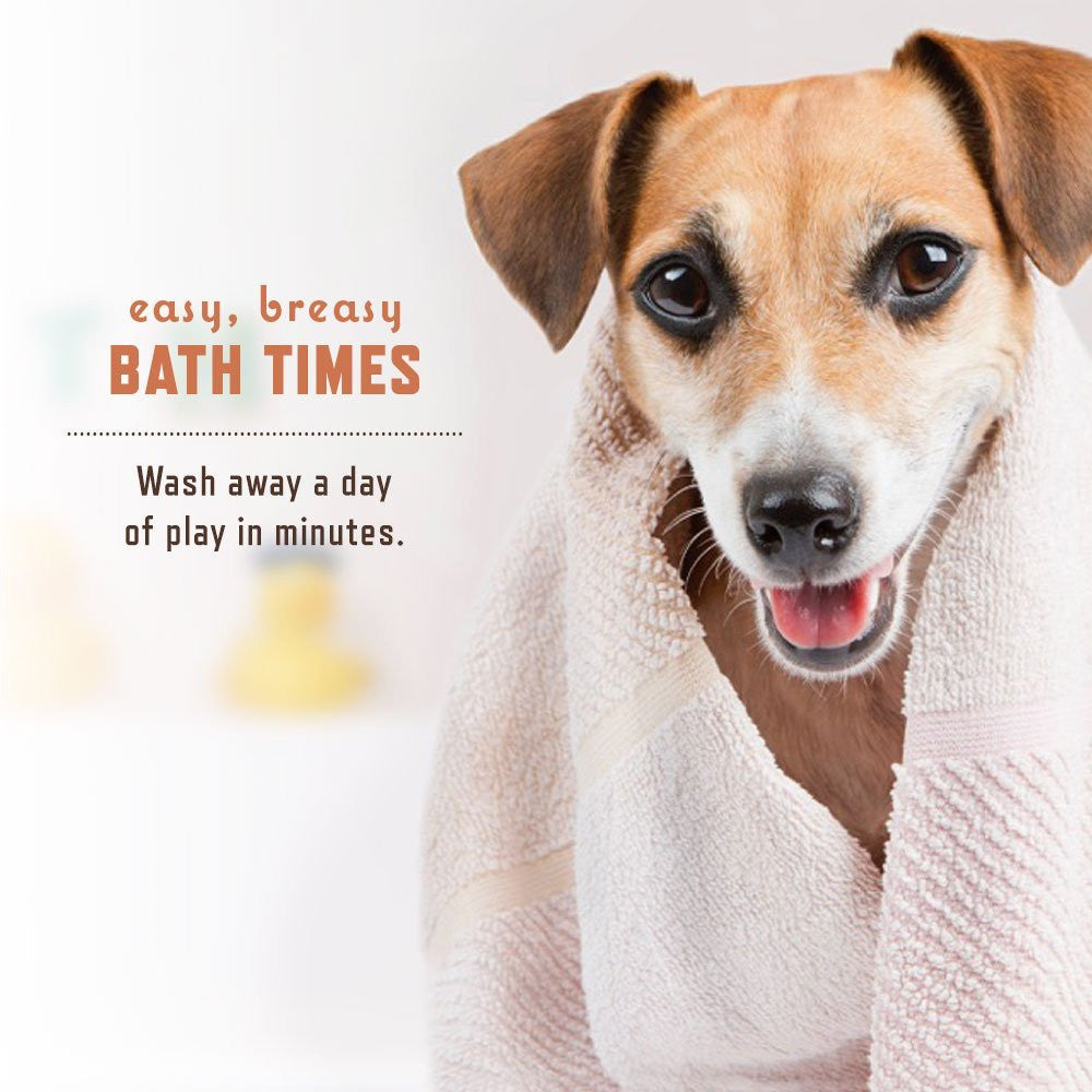 Calm Sensitive Shampoo