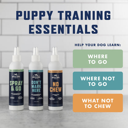 Spray & Go